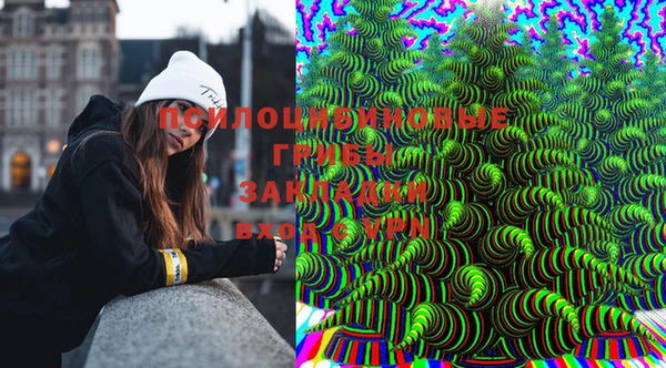 МДПВ Надым