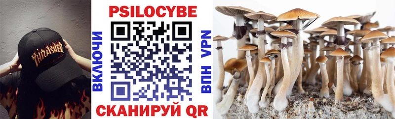 Купить закладки  Белгород  Галлюциногенные грибы ЛСД 